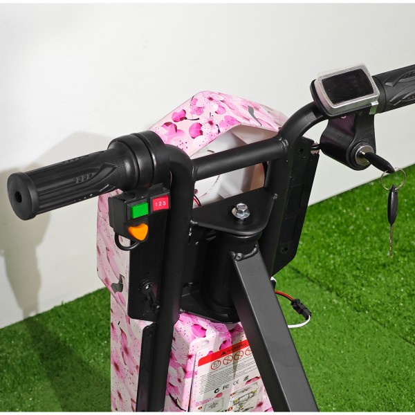 Tricicletă Electrică Copii cu Drift 360° – 350W, 36V, Bluetooth + Difuzor, Lumini LED, 20 km/h, Roses