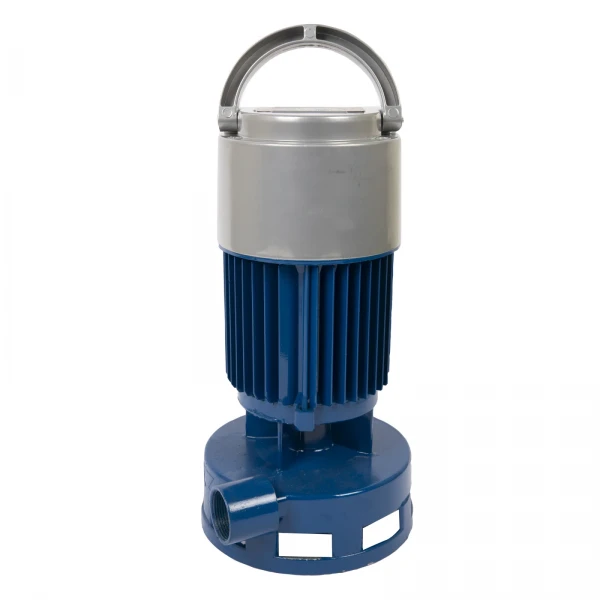 Pompa de suprafata, DDT, Tip Helz, SPC-750, 1500 W, 70 l/min
