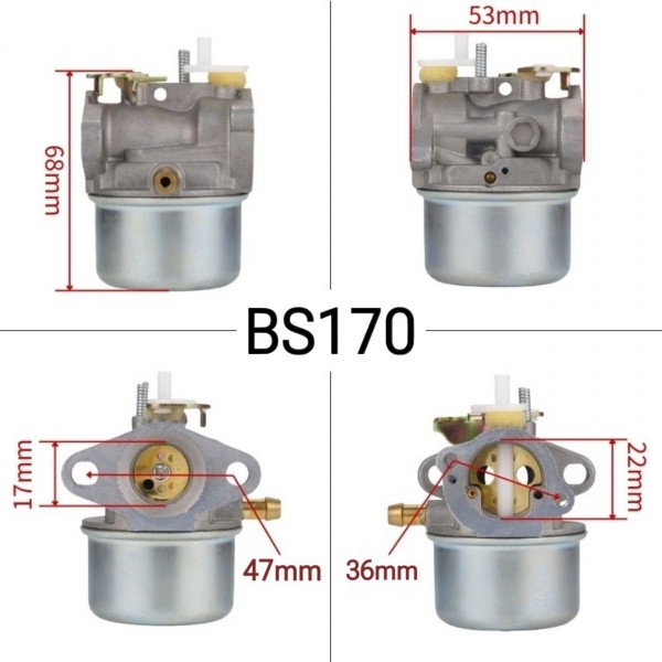 Carburator Compatibil Briggs & Stratton BS170 – Motor Benzină 208 cm³, 7 CP – Complet cu Garnituri