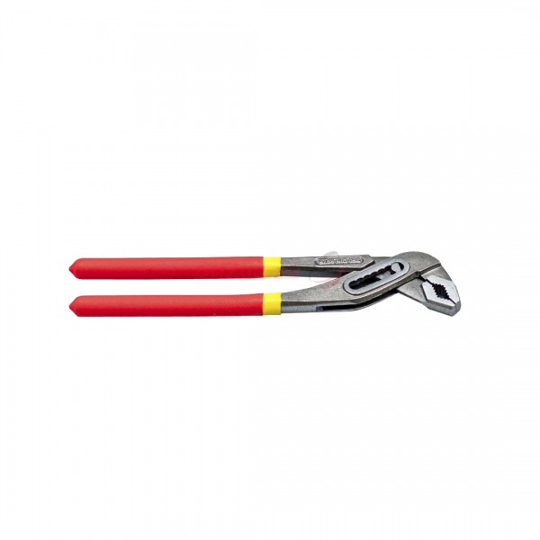 Cleste papagal 10'' cr - v