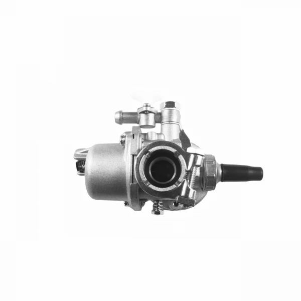 Carburator atomizor ,  21 mm